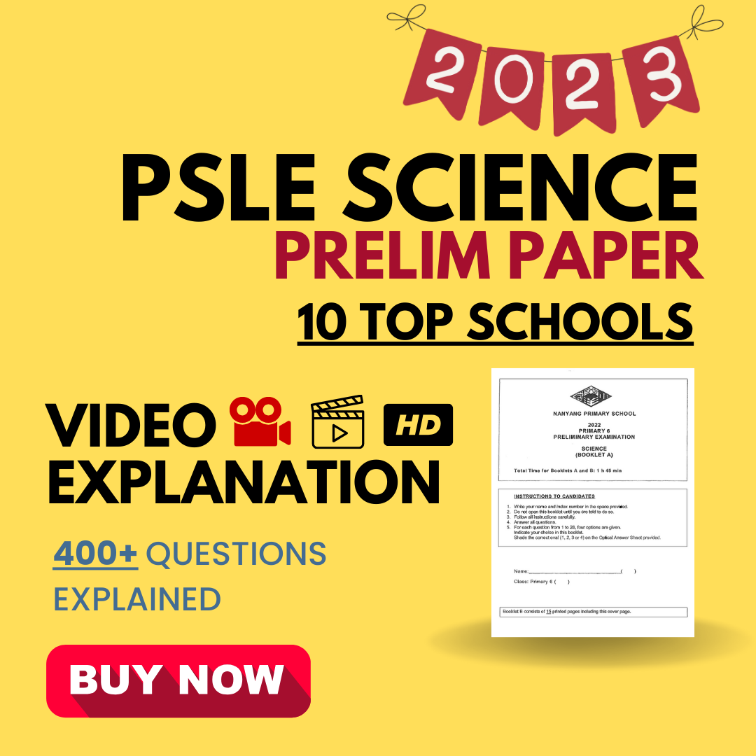 Thinker Learning - Primary School Science Specialist
