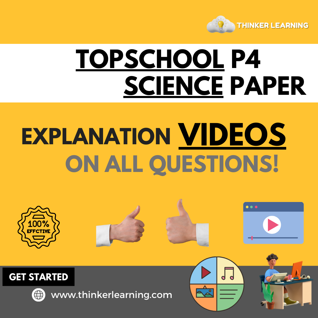 Thinker Learning - Primary School Science Specialist