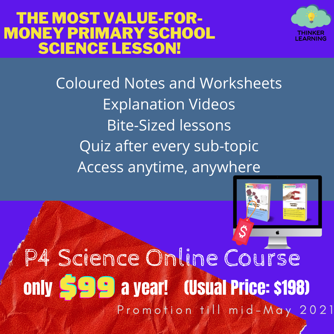 Thinker Learning - Primary School Science Specialist